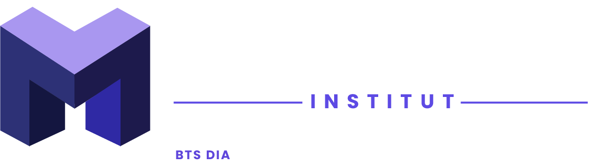 MAUSSE Institut